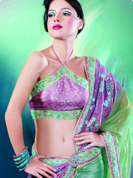 Short pallu two toned saree with embroidered net on shoulder