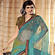 Aqua Blue and Yellow Net Saree with Blouse