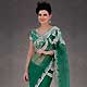 Green Net Saree with Blouse