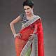 Red and Light Green Net and Chanderi Saree with Blouse