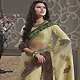 Light Fawn Net and Dupion Silk Saree with Blouse
