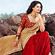 Fawn and Red Satin and Brasso Saree with Blouse