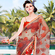 Light Brown, Green and Red Net and Brasso Saree with Blouse