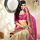 Pink and Cream Georgette and Net Lehenga Style Saree with Blouse