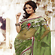 Green Net and Brasso Saree with Blouse
