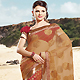 Light Brown and Dark Red Net and Brocade Saree with Blouse