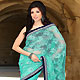 Sea Green Net Saree with Blouse