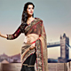 Fawn and Black Net Saree with Blouse