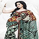 With extensive pallu are adorning is beauty with grace