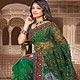 Luxurious pattern saree with awesome colors