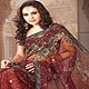 Delicate designer saree with pretty colors