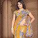 Graceful and extensive embroidered saree