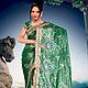 Graceful and extensive embroidered saree